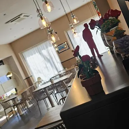 Hotel Msn Galles